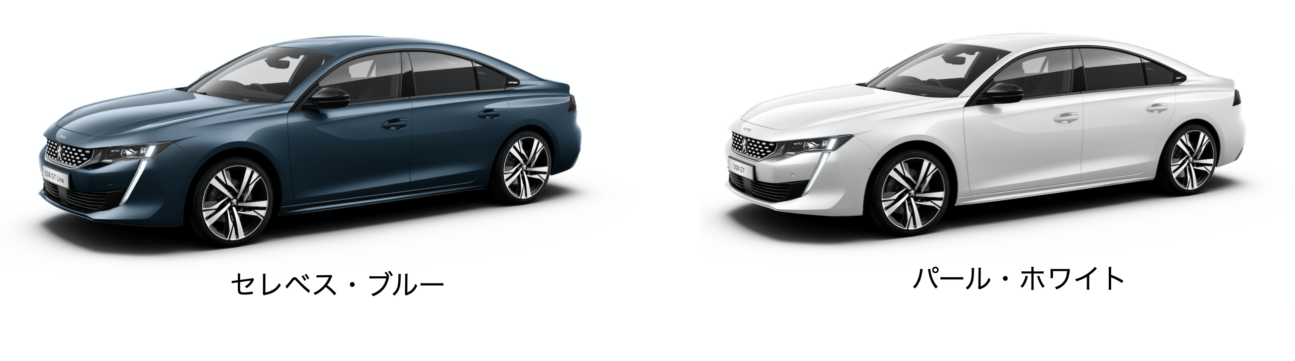 19インチ大径アロイホイールと人気のナッパレザーシートを標準装備した